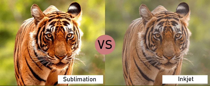 Key Differences Between Sublimation and Inkjet Printing